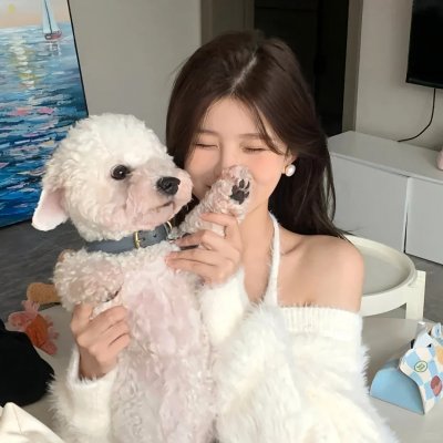 迷失真相